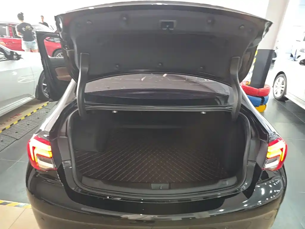 Buick Regal — миниатюра 19