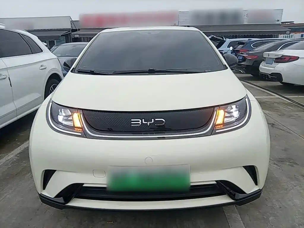 BYD Dolphin — миниатюра 3
