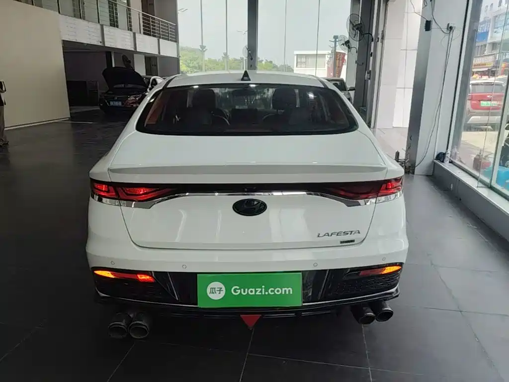 Hyundai Fista — миниатюра 6