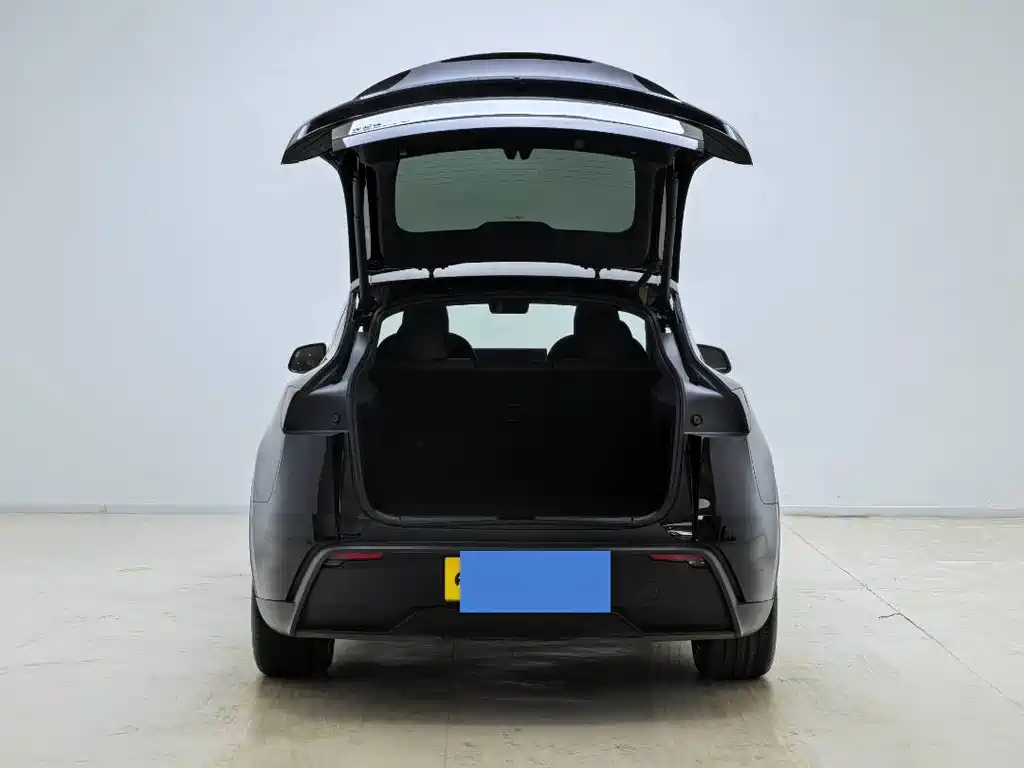 Tesla Model Y — миниатюра 14