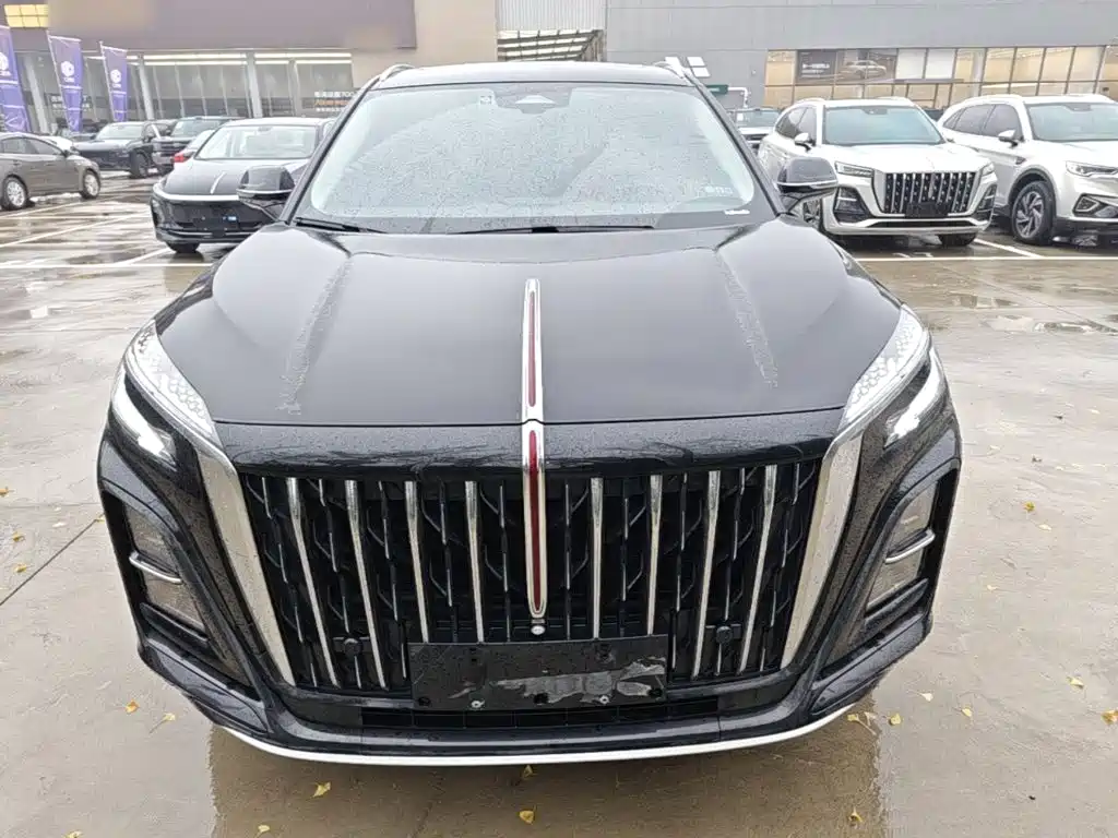 Hongqi Hongqi HS3 PHEV — миниатюра 3