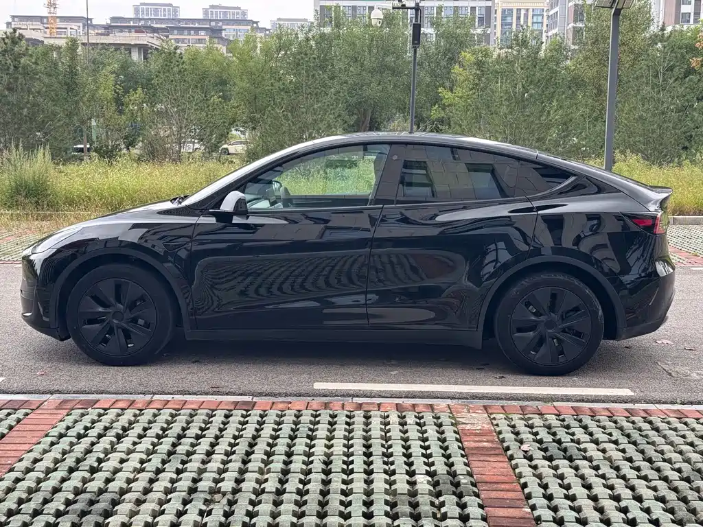 Tesla Model Y — миниатюра 7