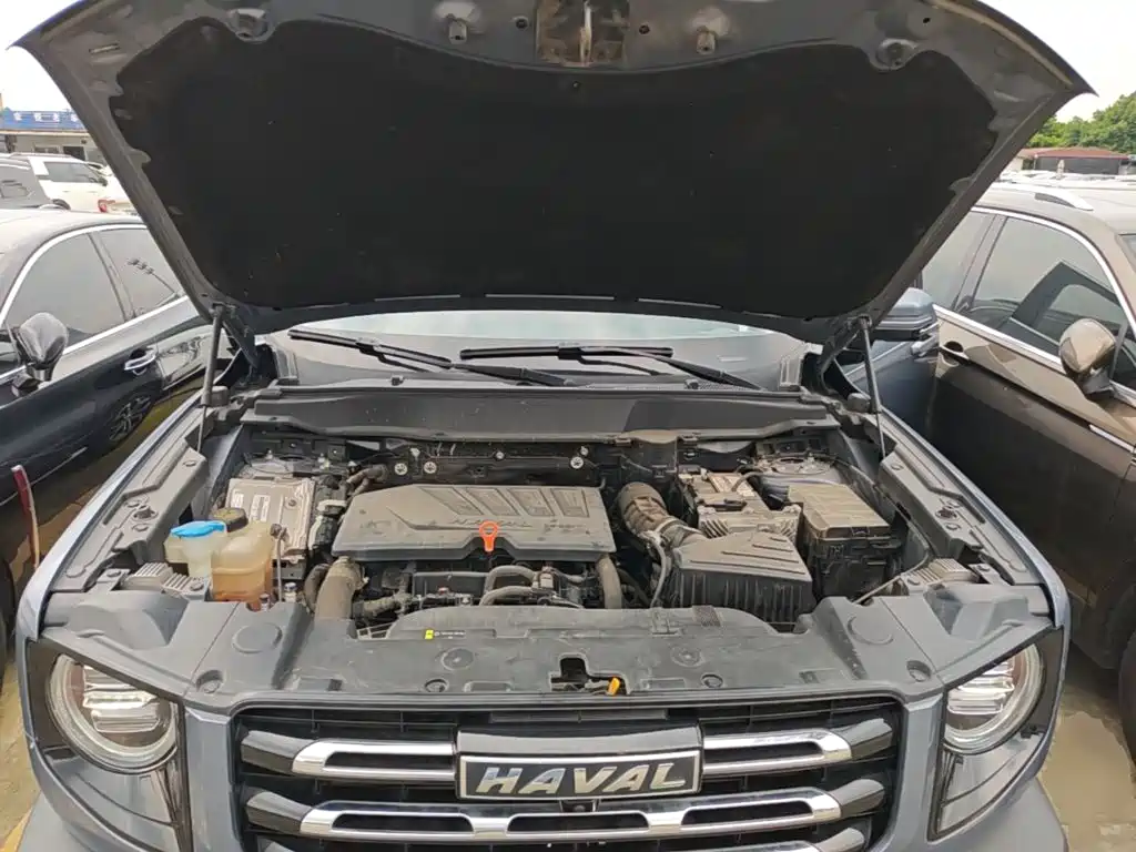 Haval Big Dog — миниатюра 20