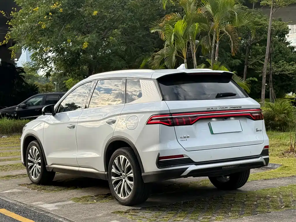 BYD Pro New Energy — миниатюра 4