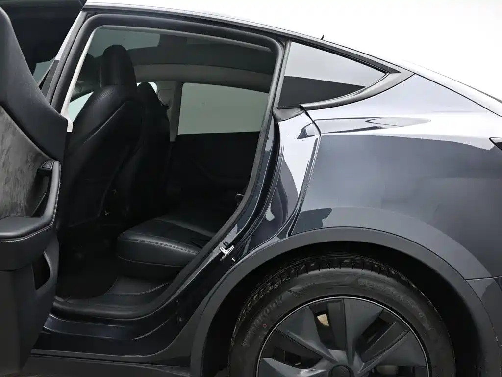 Tesla Model Y — миниатюра 14