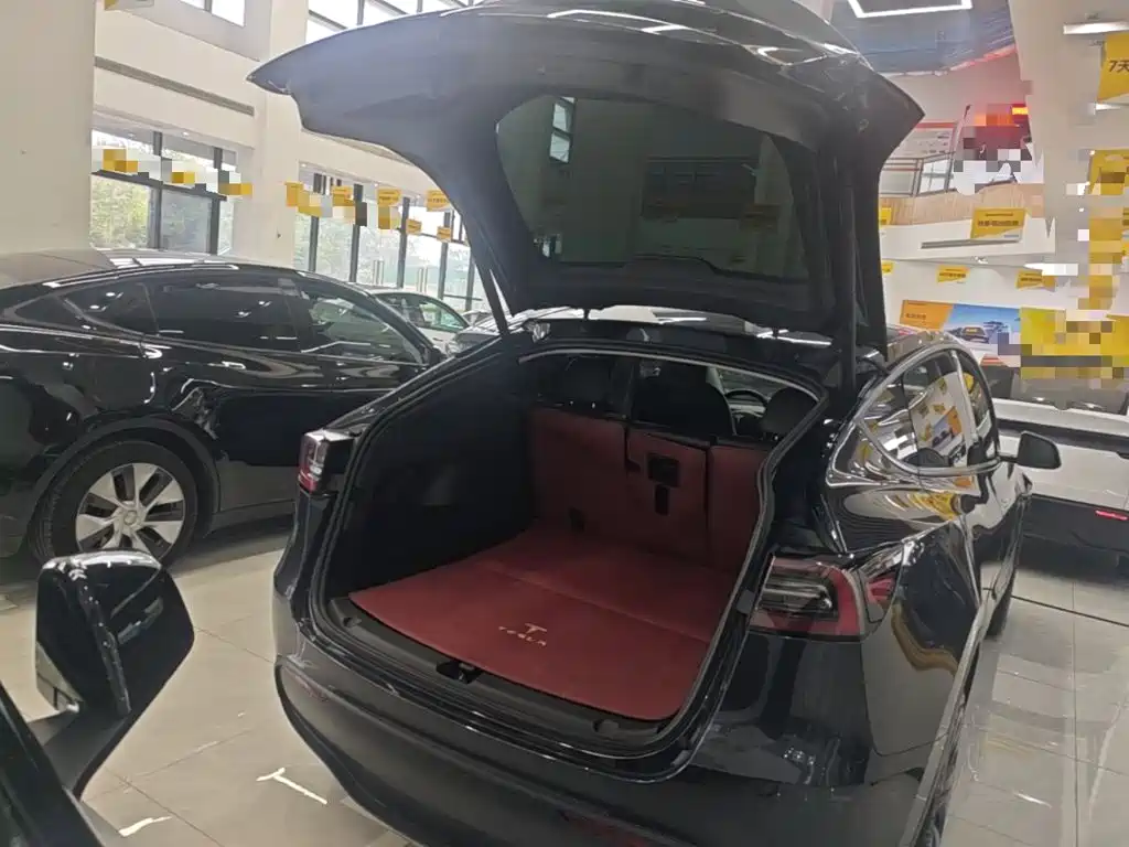 Tesla Model Y — миниатюра 19