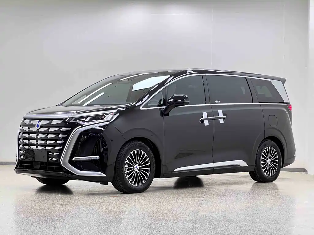 Denza Denza D9