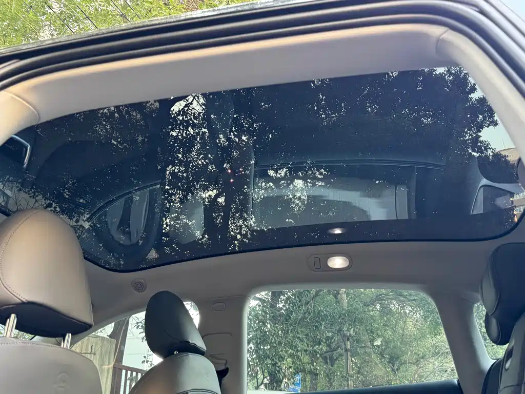 ZHIJI AUTOMOBILE ZHIJI LS6