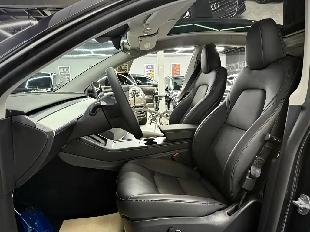 Tesla Model Y — миниатюра 13