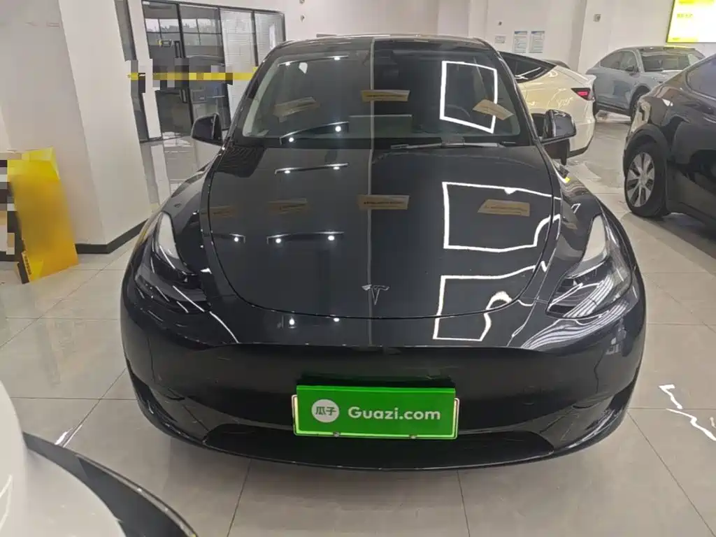 Tesla Model Y — миниатюра 3