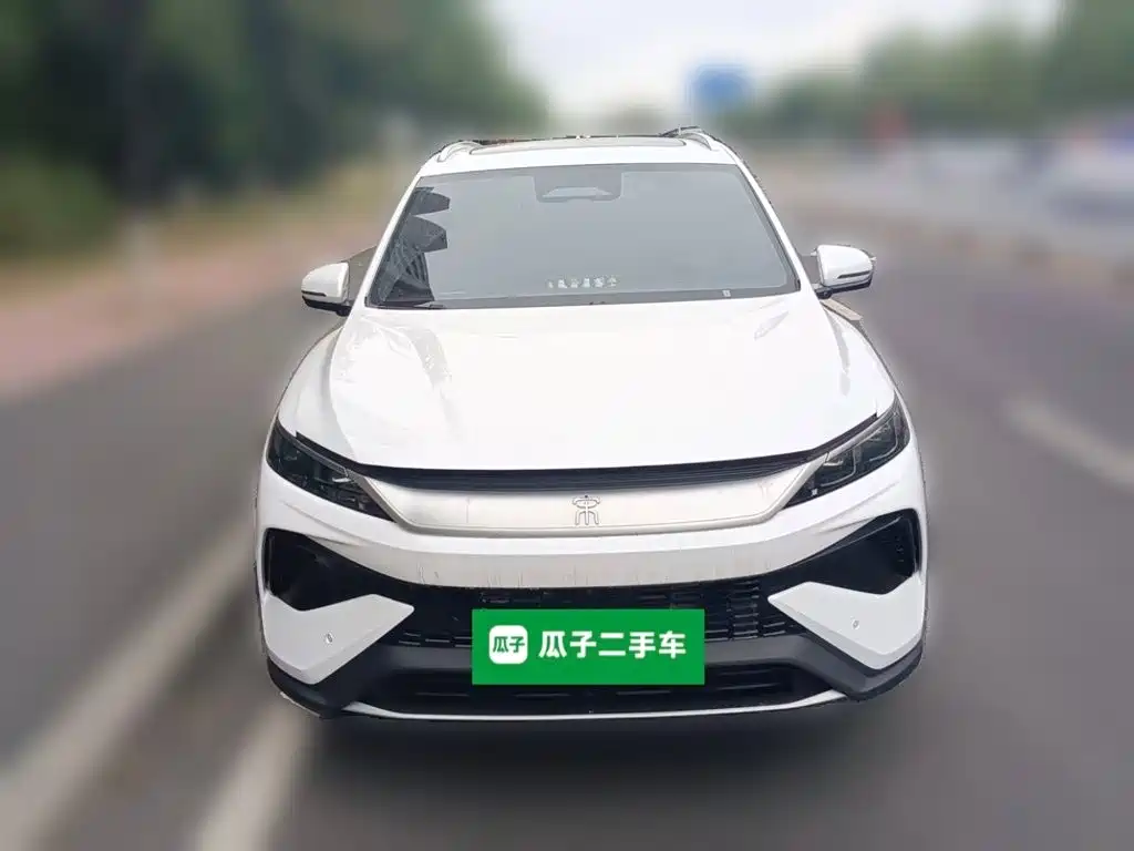 BYD Pro New Energy — миниатюра 2