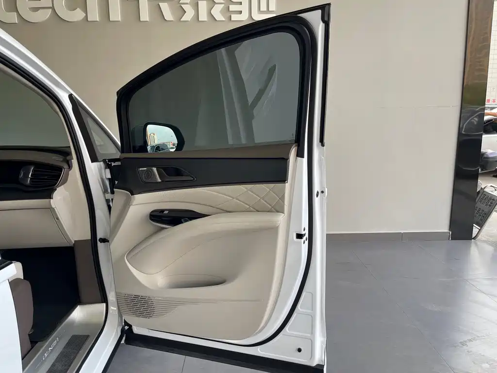 Denza Denza D9 — миниатюра 34