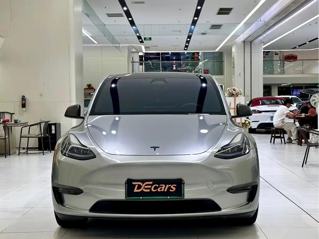 Tesla Model Y — миниатюра 2