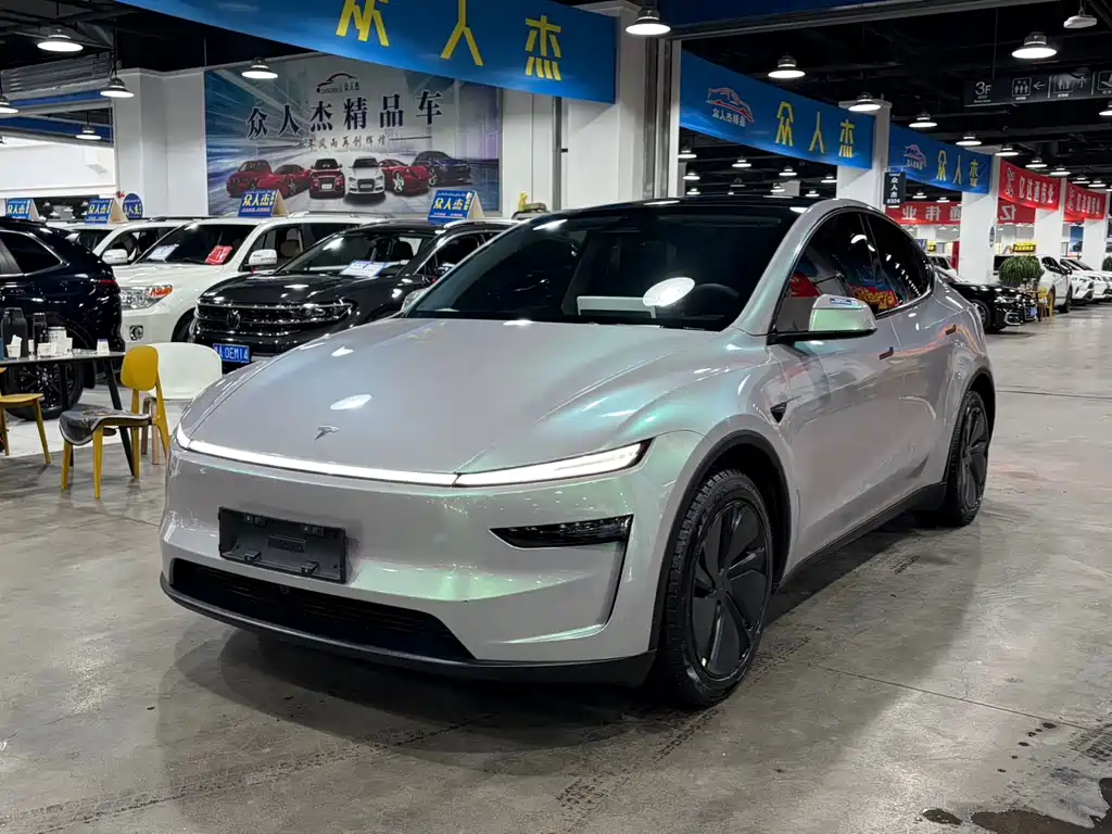 Tesla Model Y — миниатюра 2