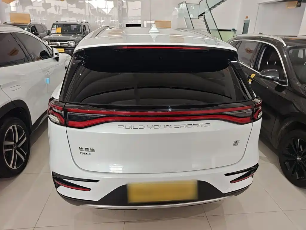 BYD Tang New Energy — миниатюра 11