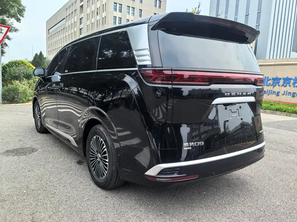 Denza Denza D9 — миниатюра 13