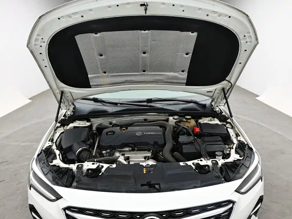 Buick Regal — миниатюра 16