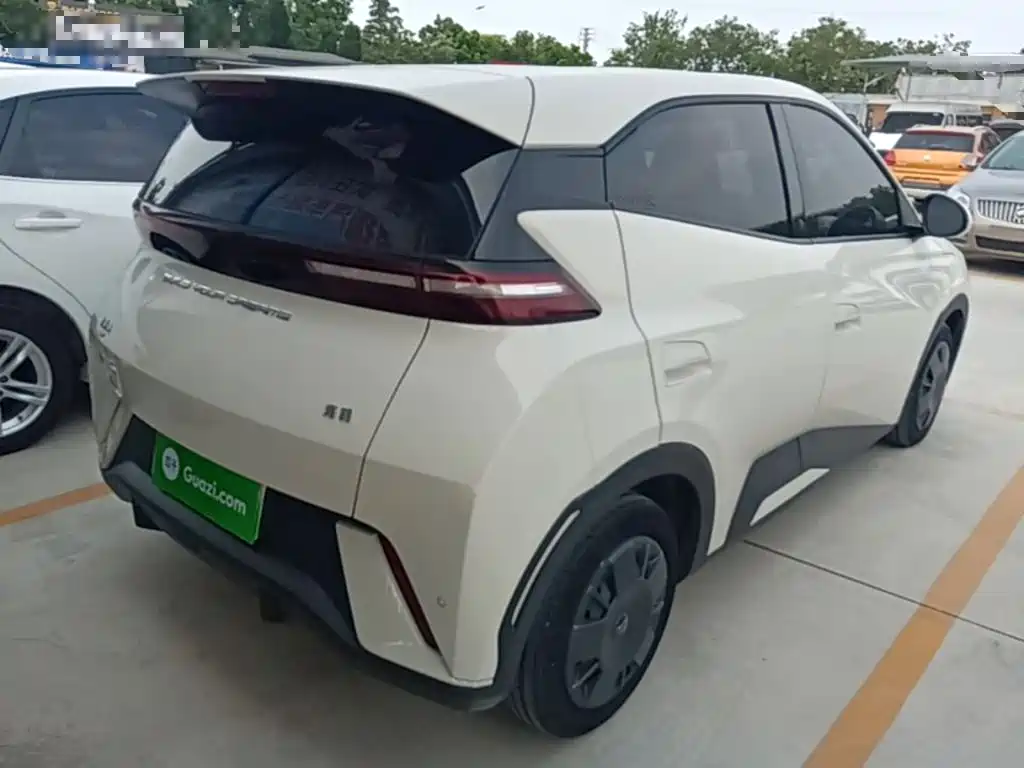 BYD Seagull