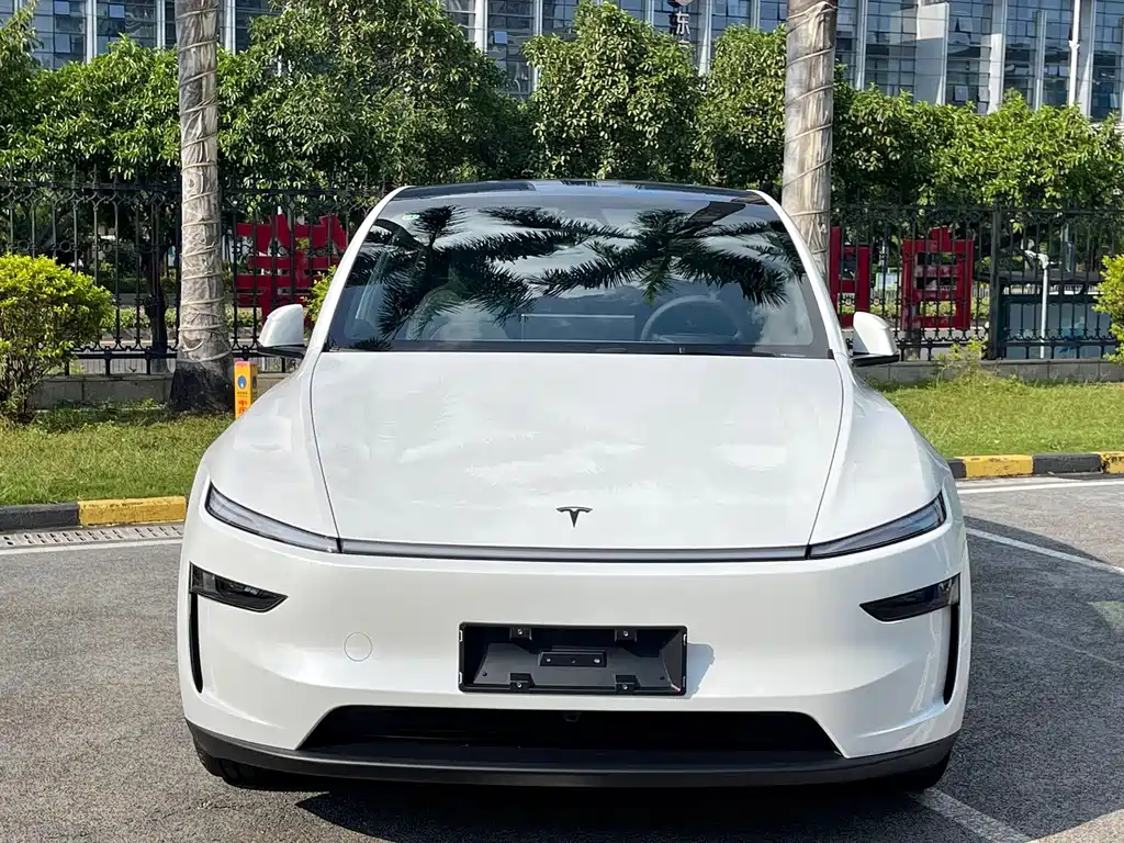Tesla Model Y — миниатюра 2