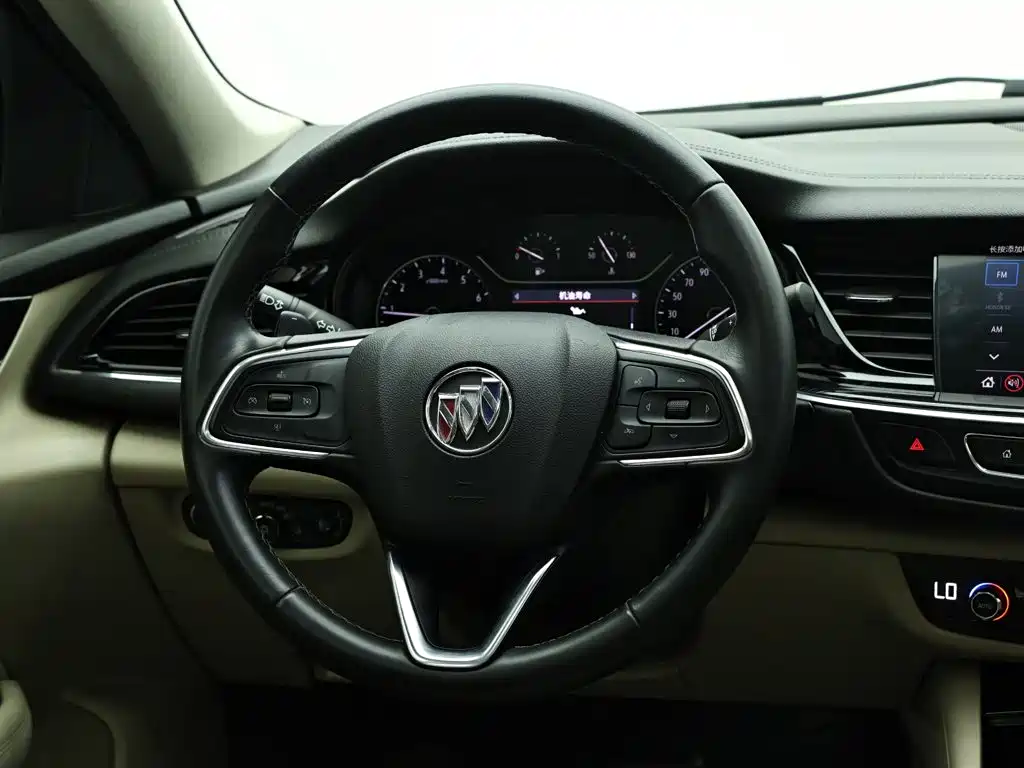 Buick Regal — миниатюра 15