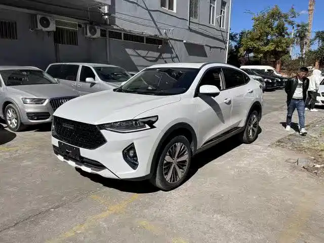 2019 Haval F7x