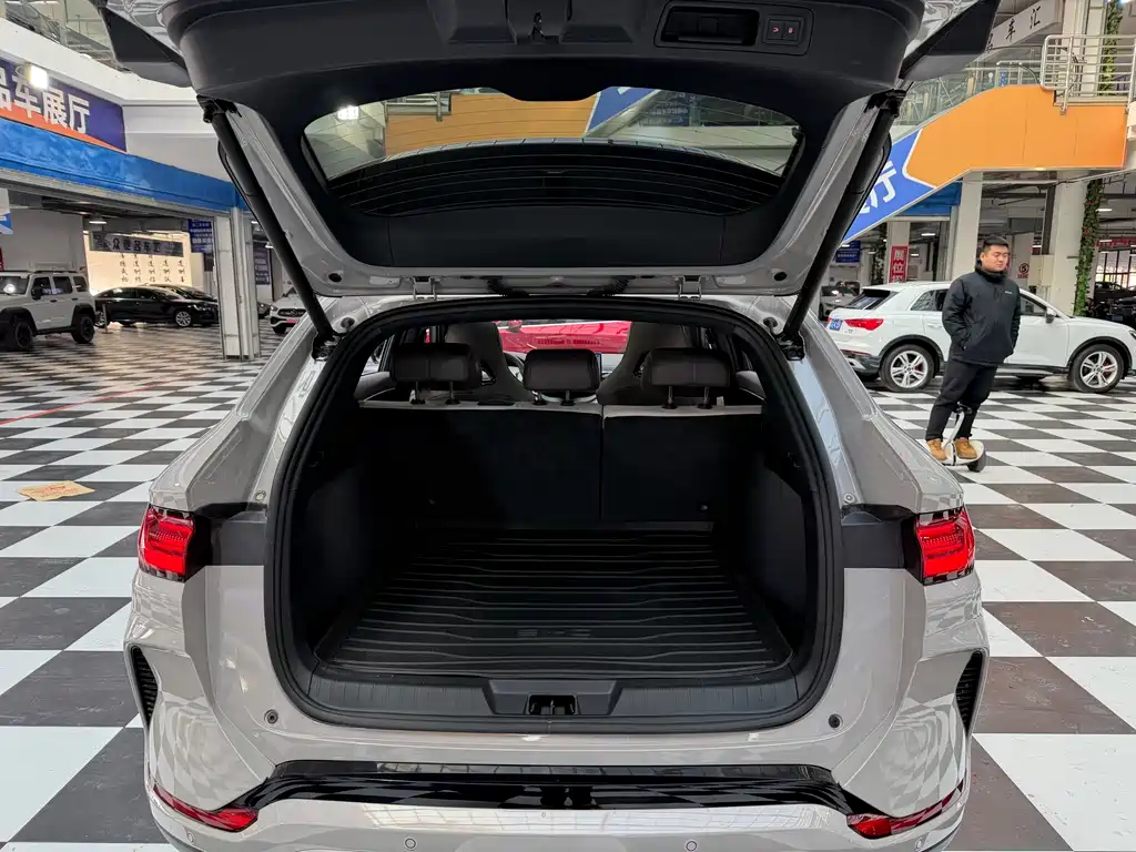 BYD SONGJIANG NEW ENERGY