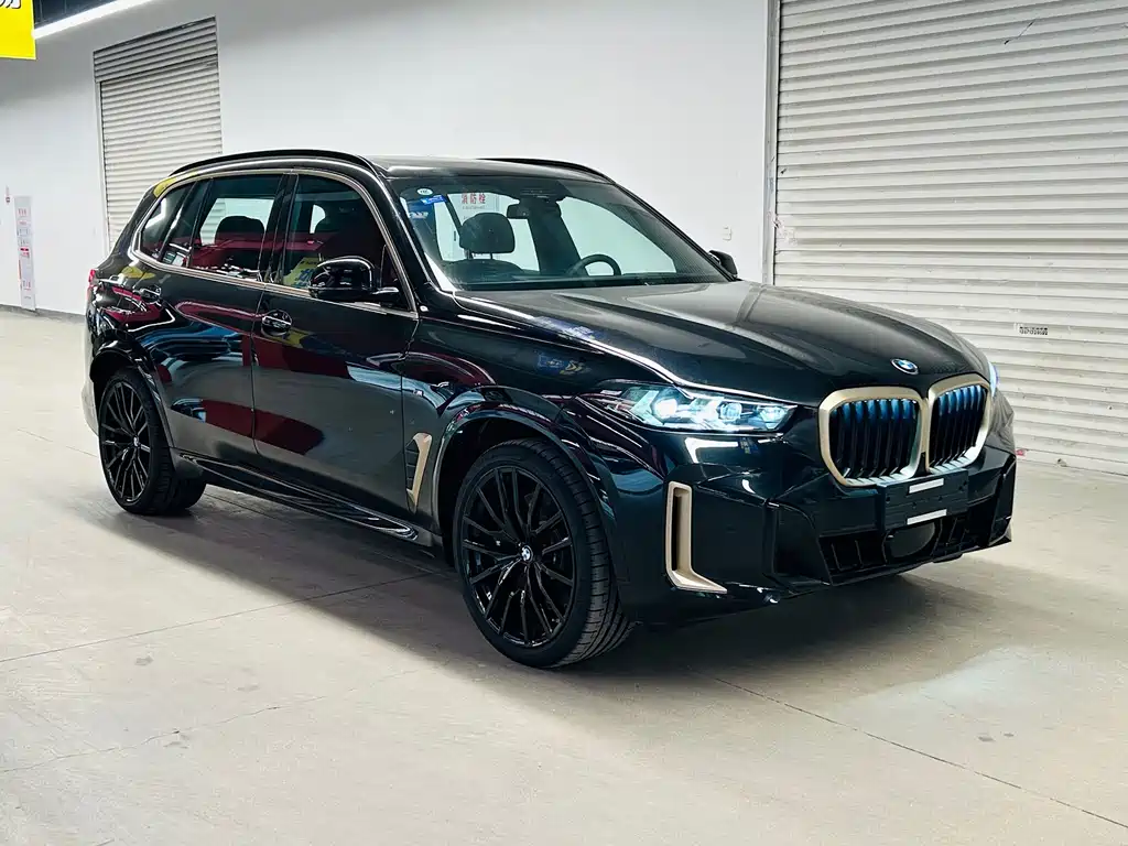 BMW X5 — миниатюра 3