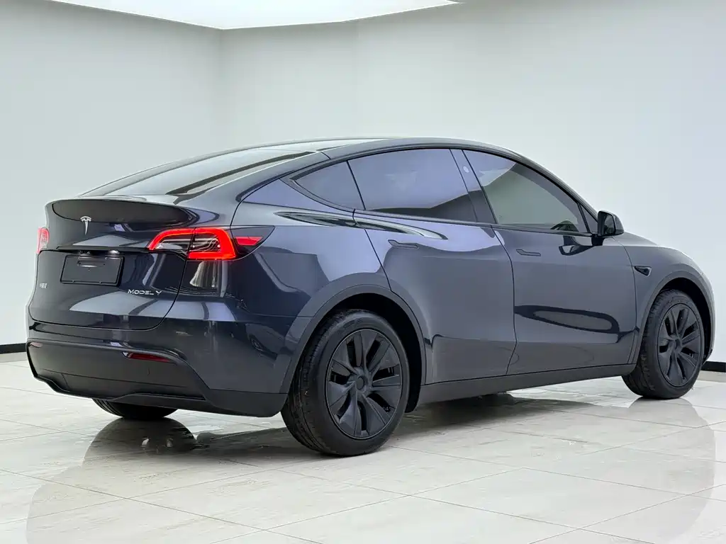 Tesla Model Y — миниатюра 10