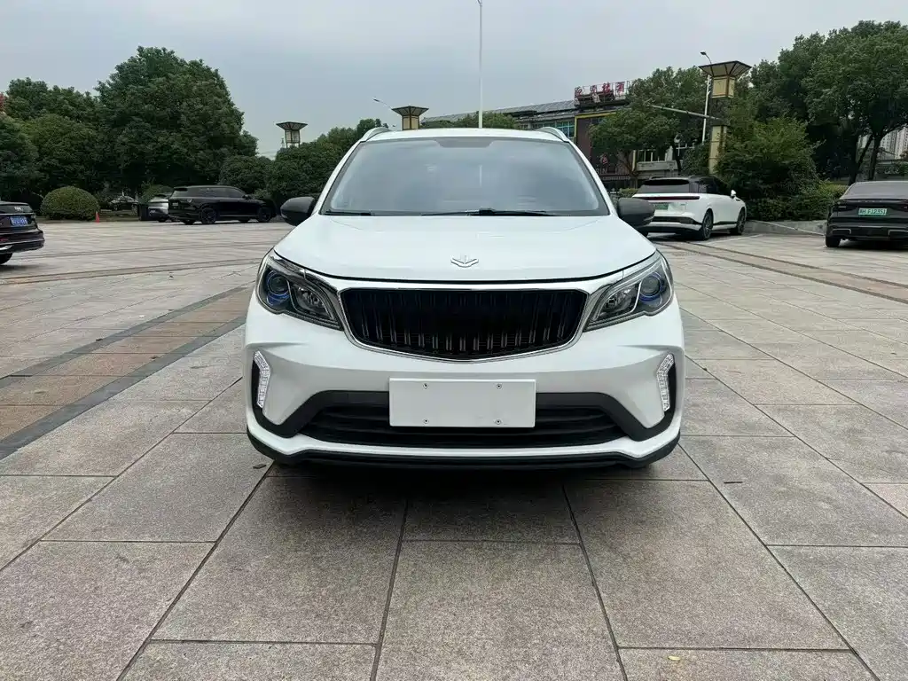 Rayleigh Ruilan X3 PRO — миниатюра 2