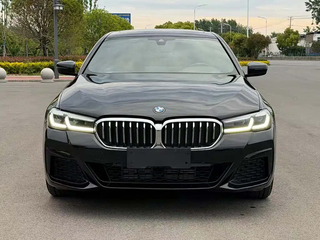 BMW 5 Series — миниатюра 2
