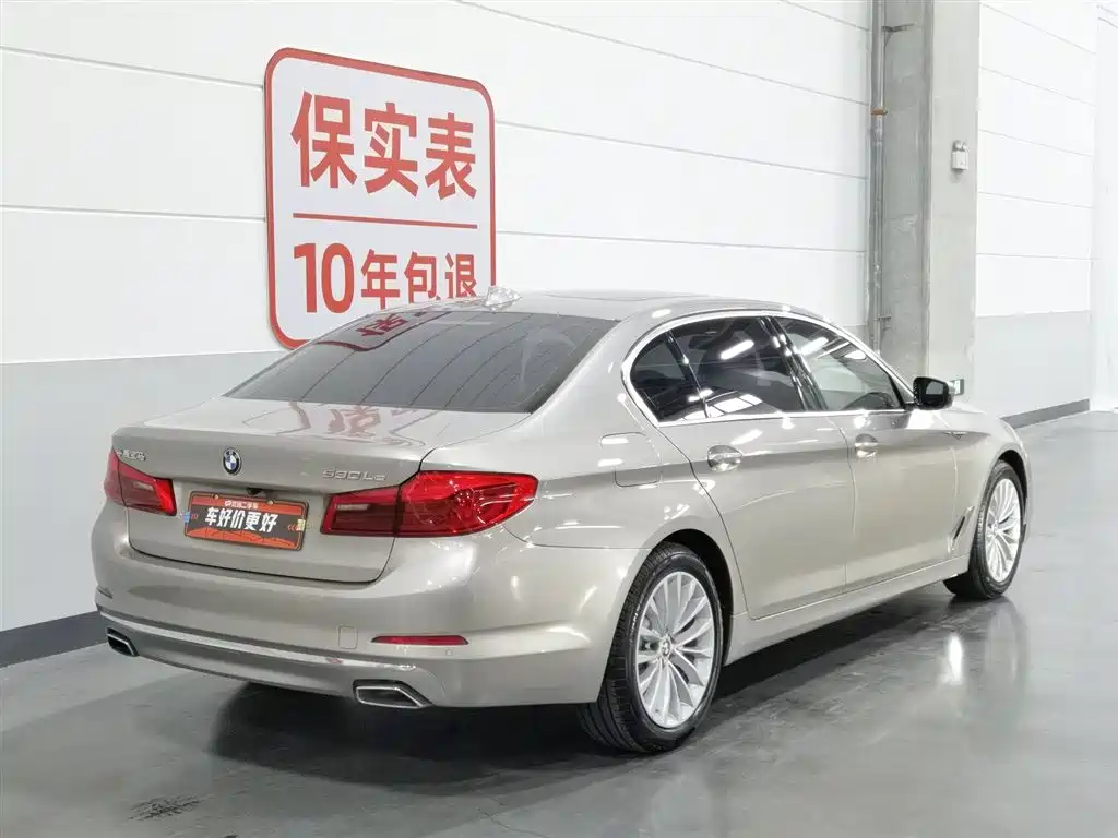 BMW 5 Series 5 2020 530Le Luxury