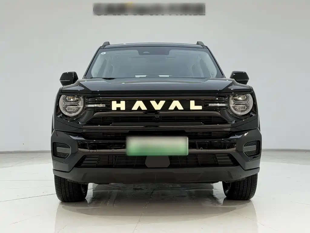 Haval Big Dog PLUS New Energy — миниатюра 14