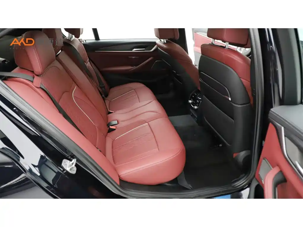 BMW 5 Series 5 2021 530Li Premium M Sport