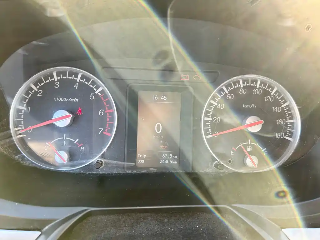 GOLDEN DRAGON SEA LION