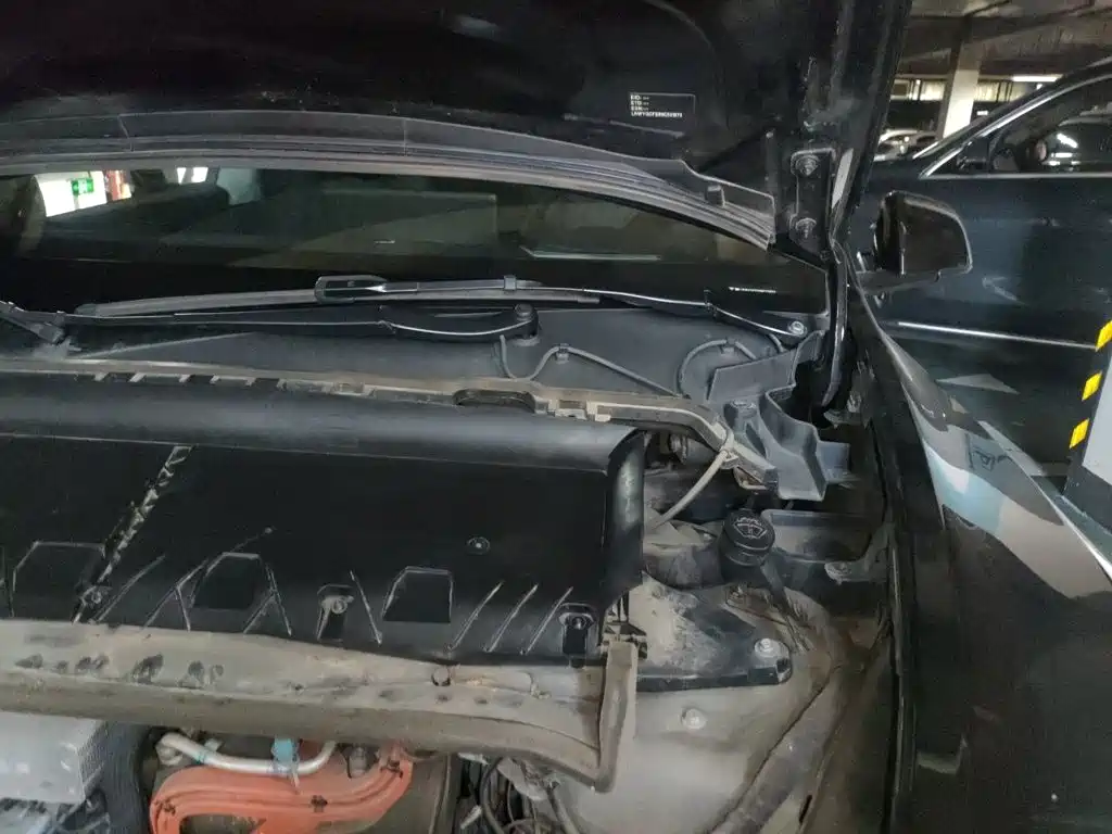 Tesla Model Y — миниатюра 22