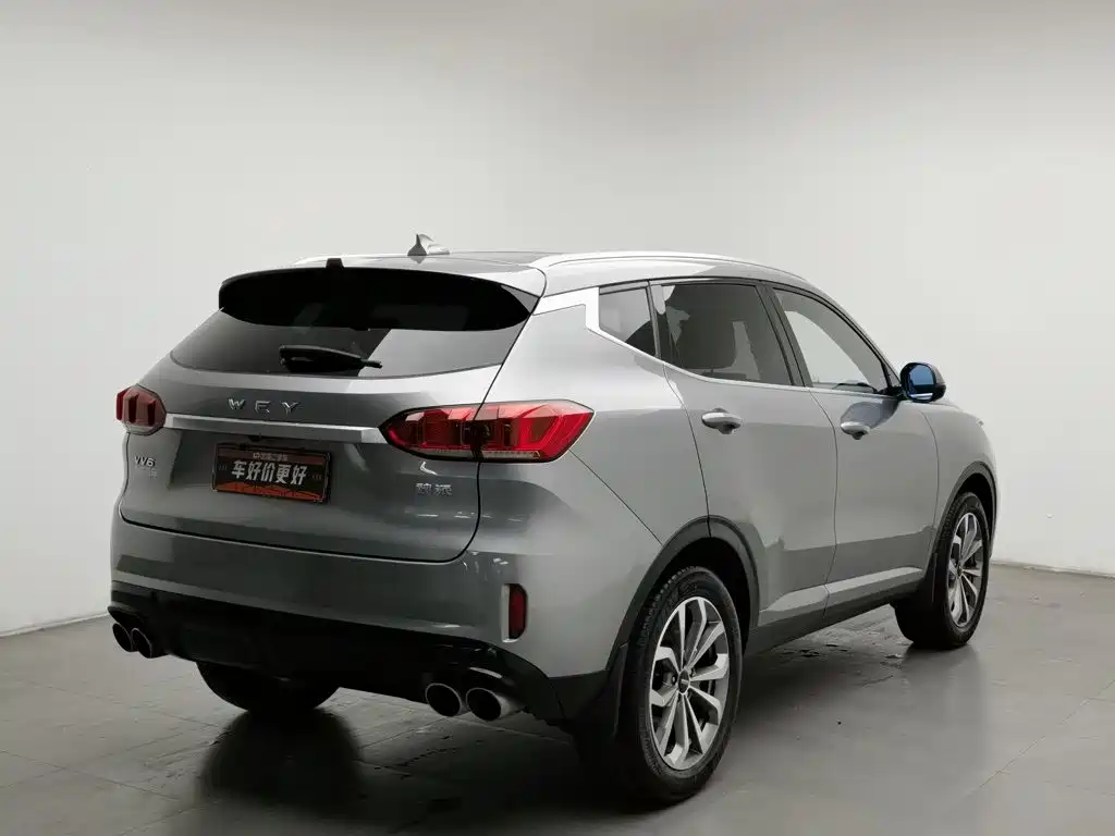 Wey Wey VV6 — миниатюра 2