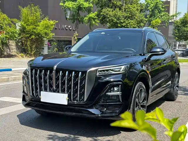 2024 Hongqi HS5