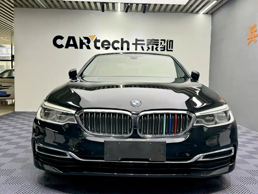 BMW 5 Series 5 2020 530Li Lead Luxury