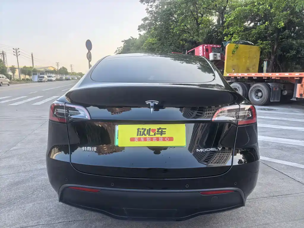 Tesla Model Y — миниатюра 6