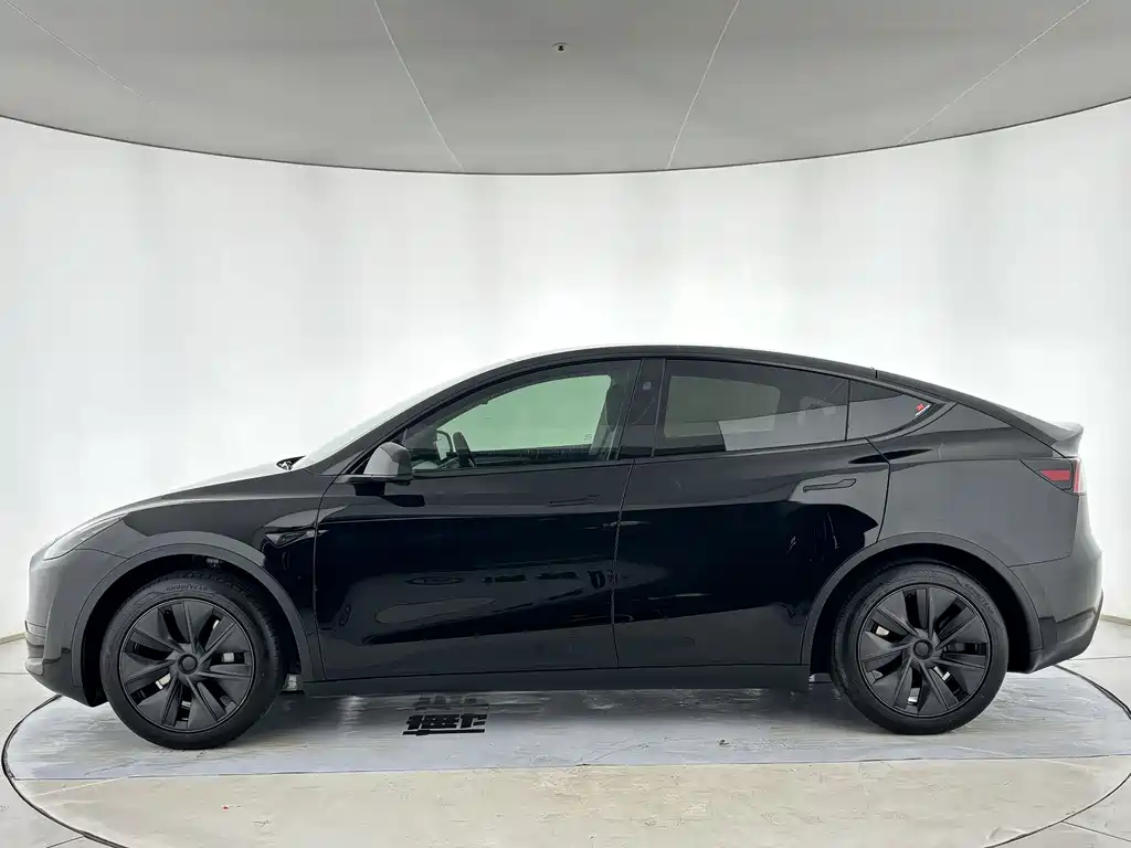 Tesla Model Y — миниатюра 4
