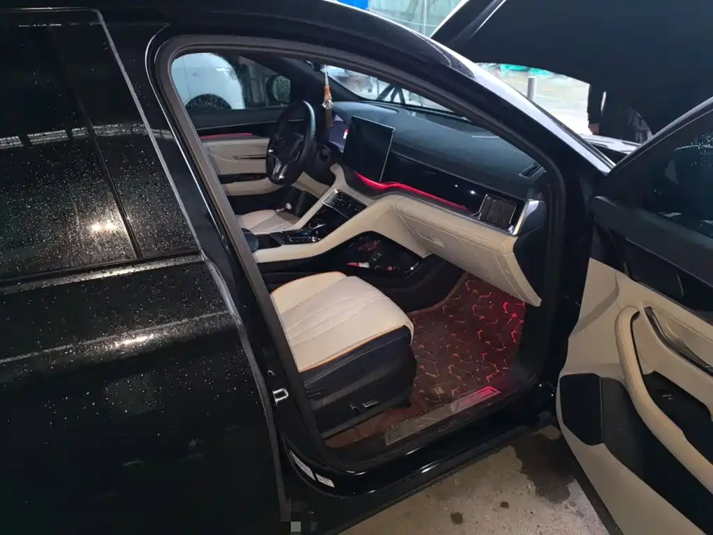 BYD PLUS New Energy — миниатюра 19