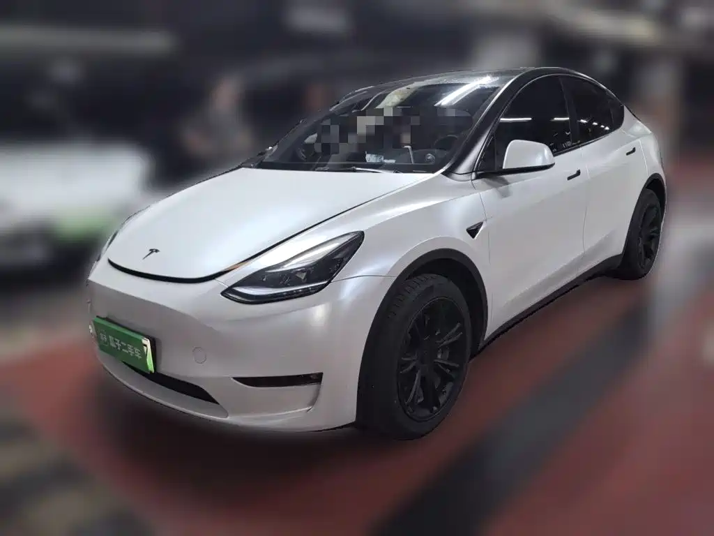 Tesla Model Y — миниатюра 2