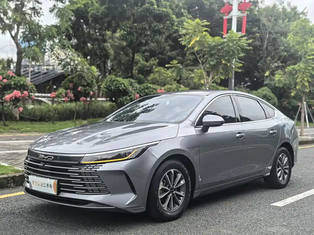 2024 BYD Destroyer - zdjęcie 1 z 21