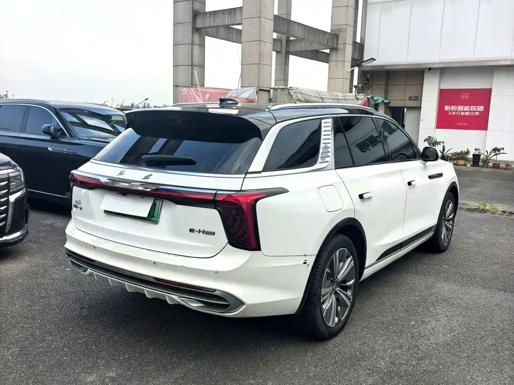 Hongqi Hongqi E-HS9 — миниатюра 4