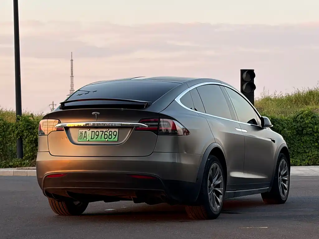 Tesla Model X — миниатюра 6
