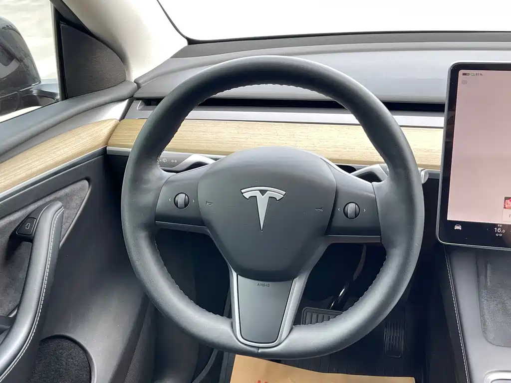Tesla Model Y — миниатюра 15