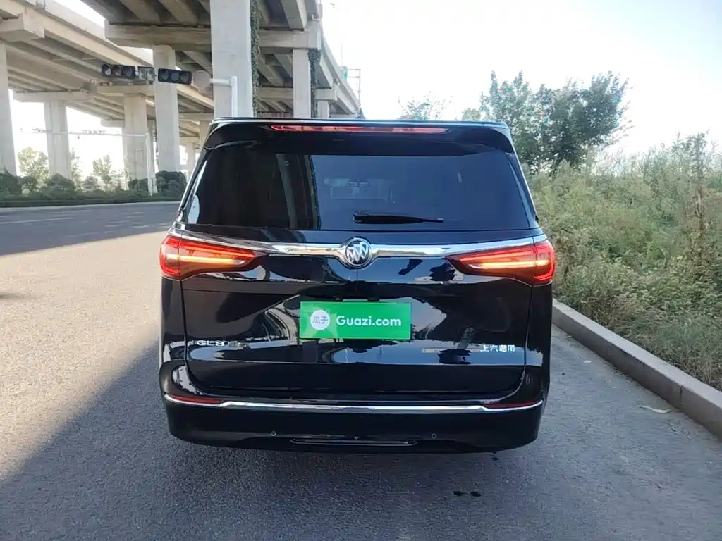 Buick GL8 — миниатюра 6