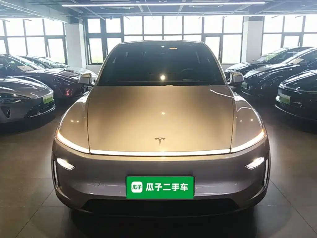 Tesla Model Y L — миниатюра 3