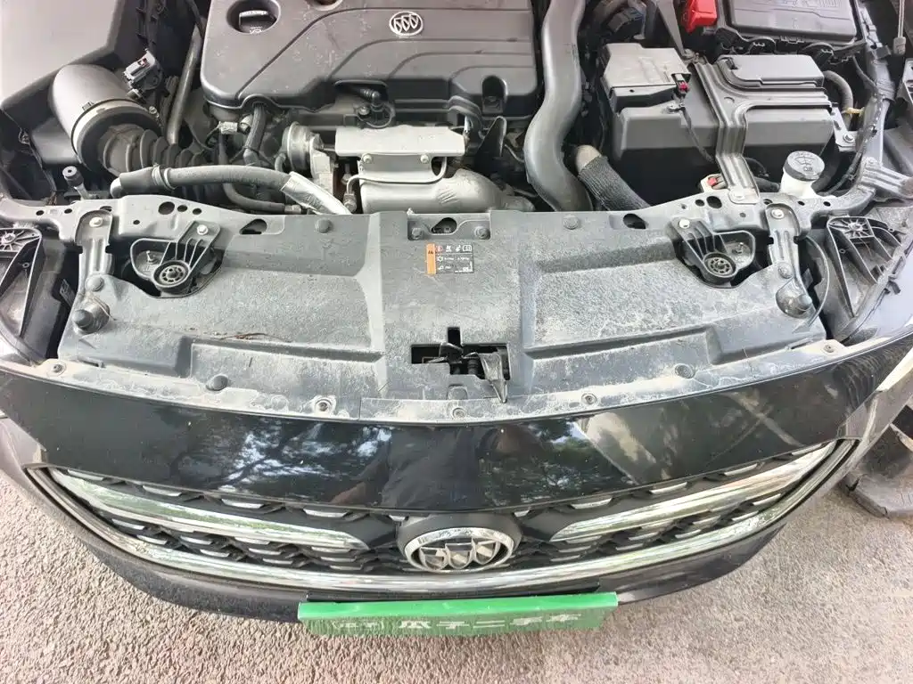 Buick Regal — миниатюра 17
