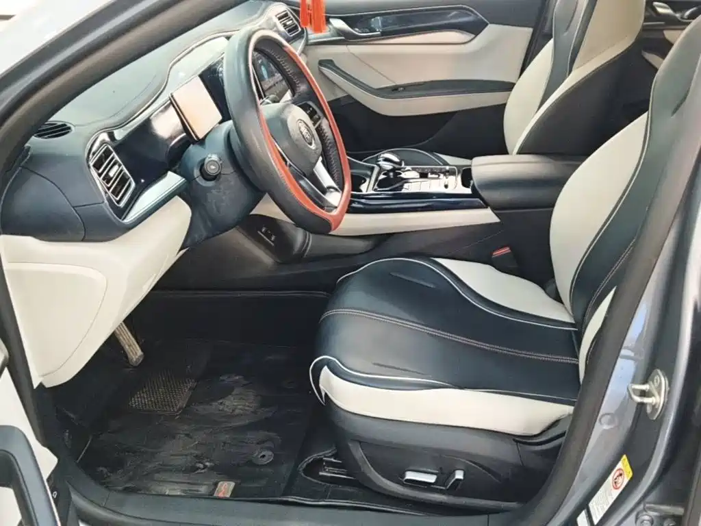 BYD Qin PLUS — миниатюра 15